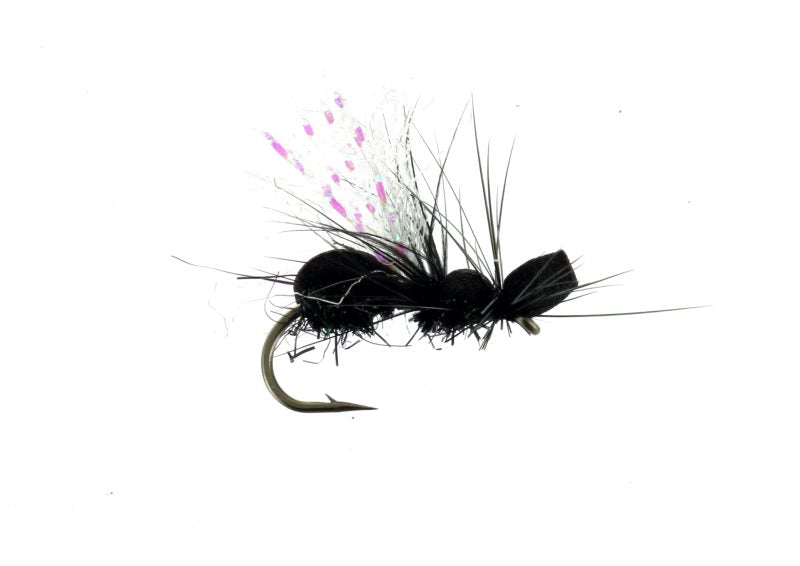 Bjorn's Flying Ant