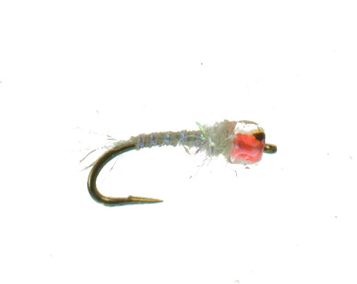 Bodens Brainiac Mysis