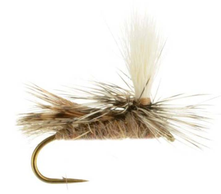 E-Z Caddis