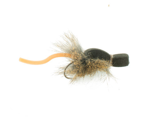 Winchester's Sunrise Squeaker