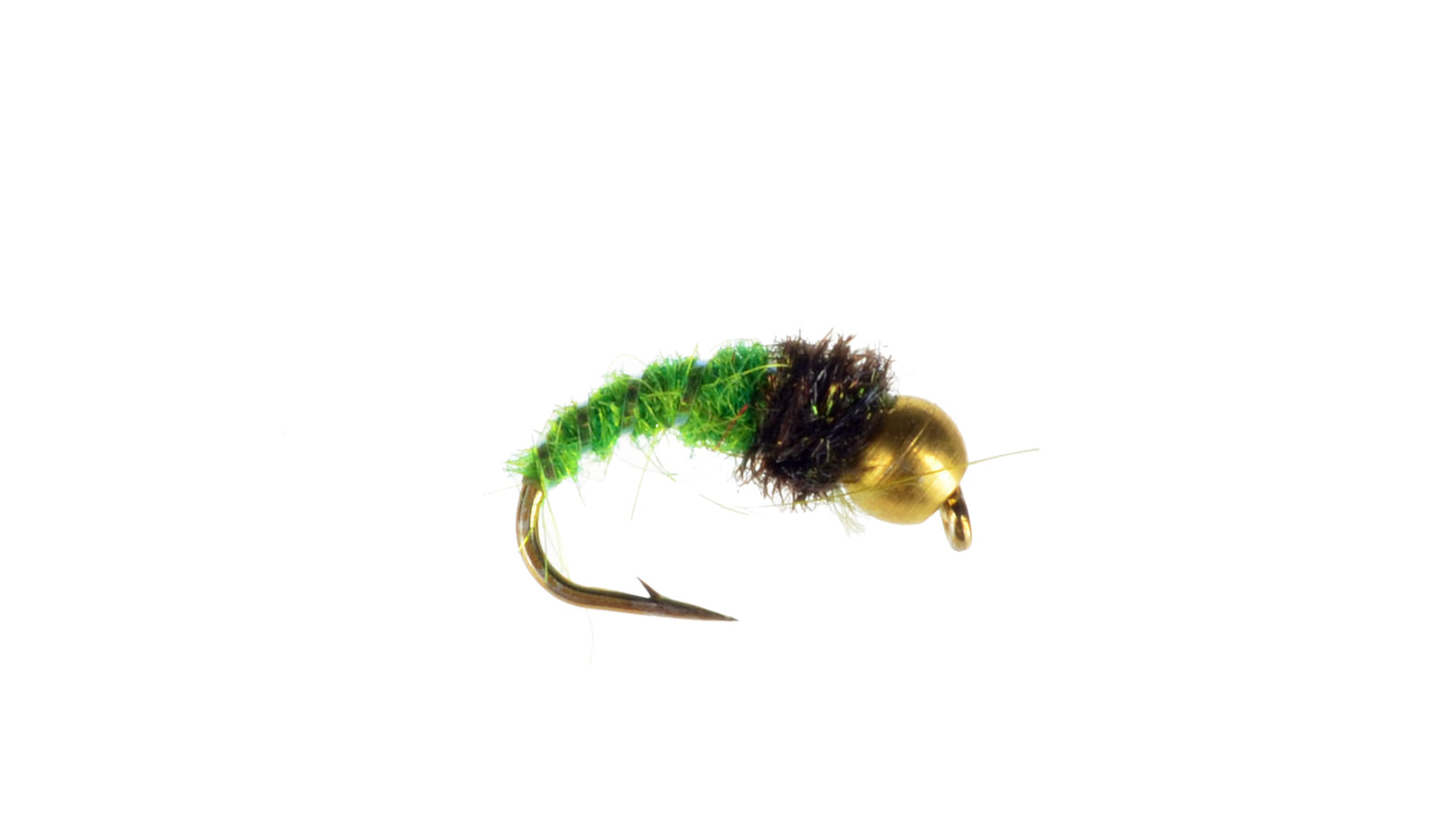 Beadhead Caddis
