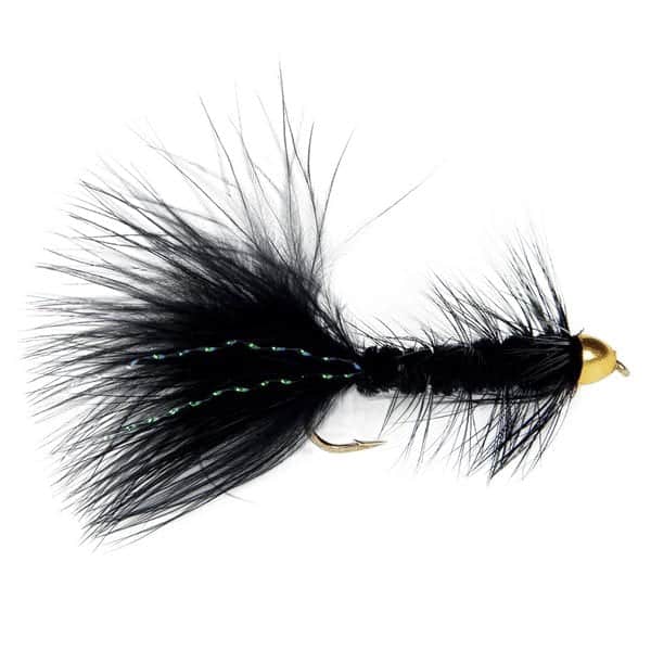 Conehead Woolly Bugger