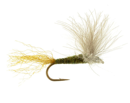 BWO CDC Wing Sparkle Dun