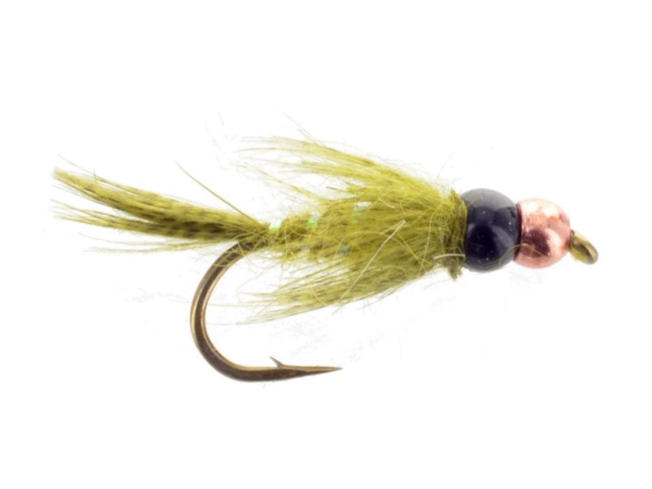 Depth Charge Birds Nest