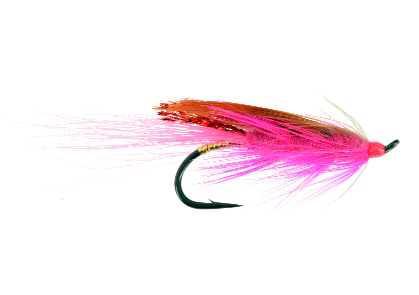 General Practitioner