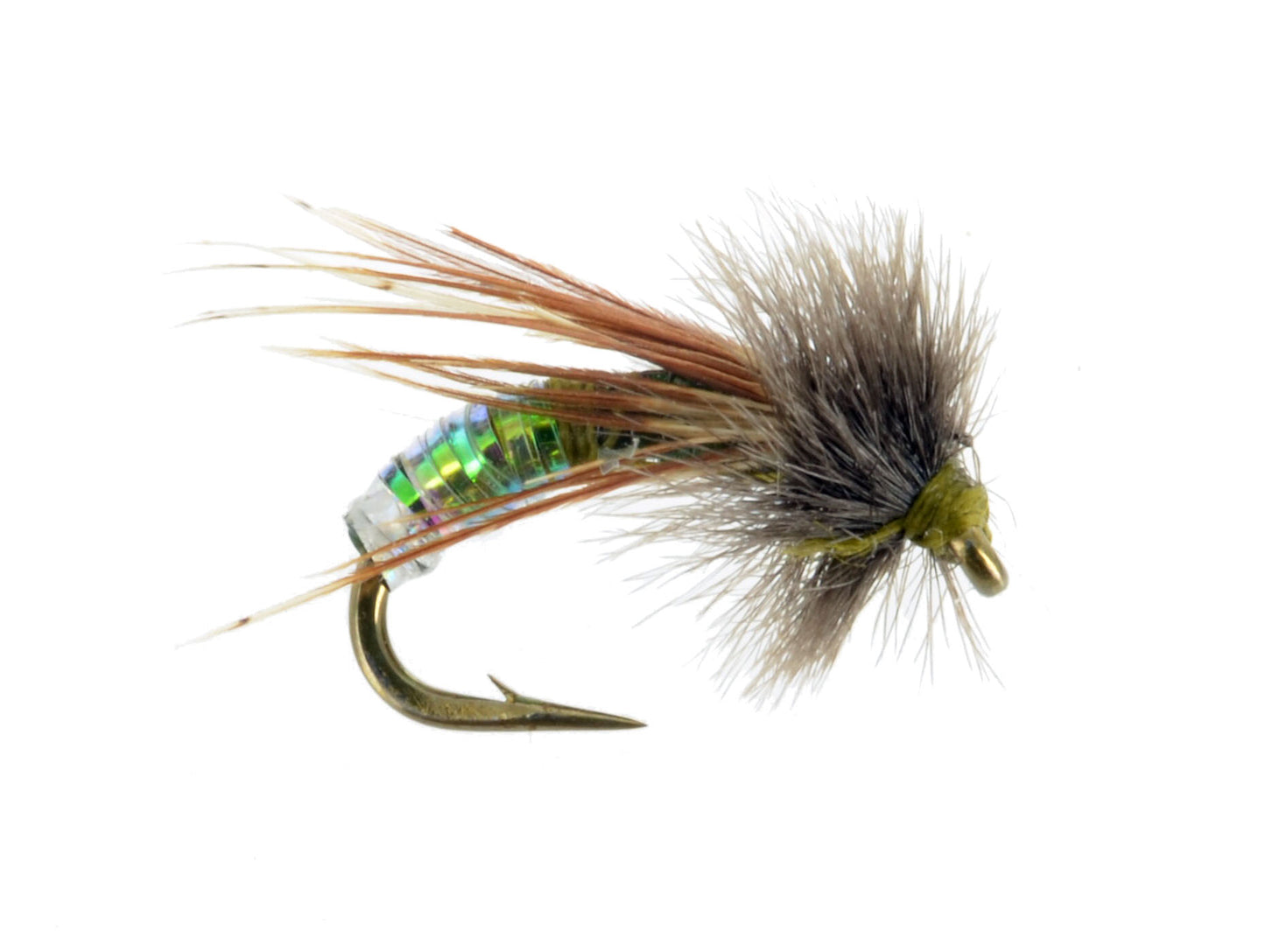 Graphic Caddis
