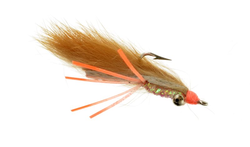 Hamilton's Orange Leg Bunny Butt