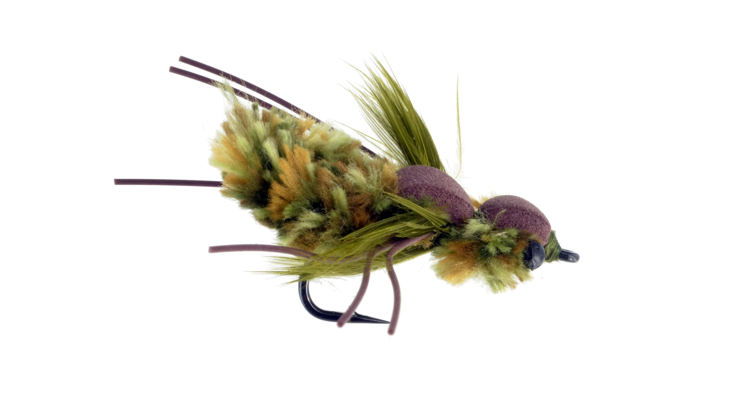 Adam Hopes Carp Dragon