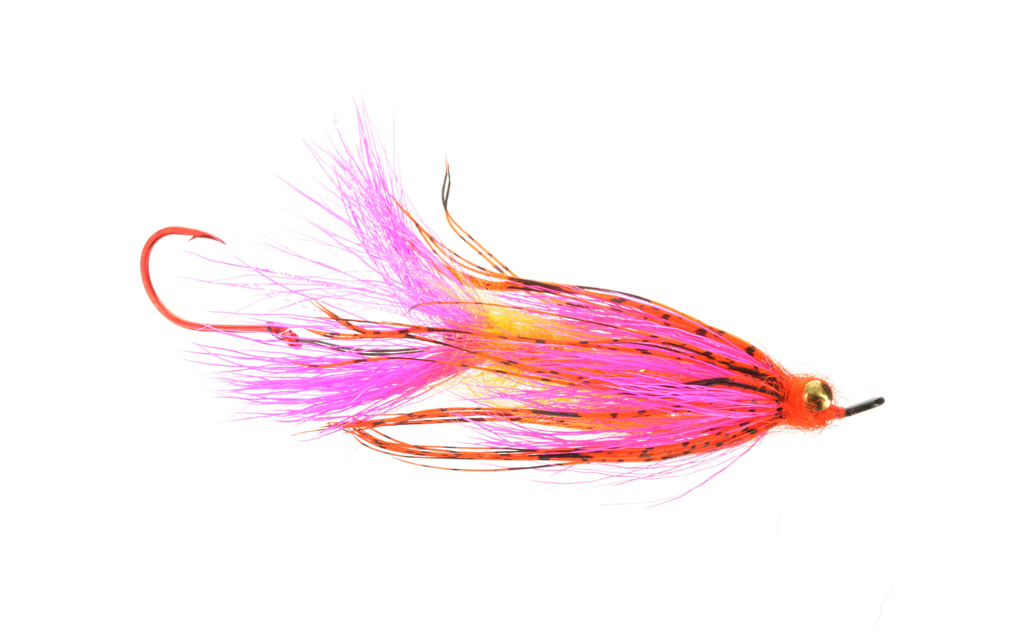 Jumbo Critter