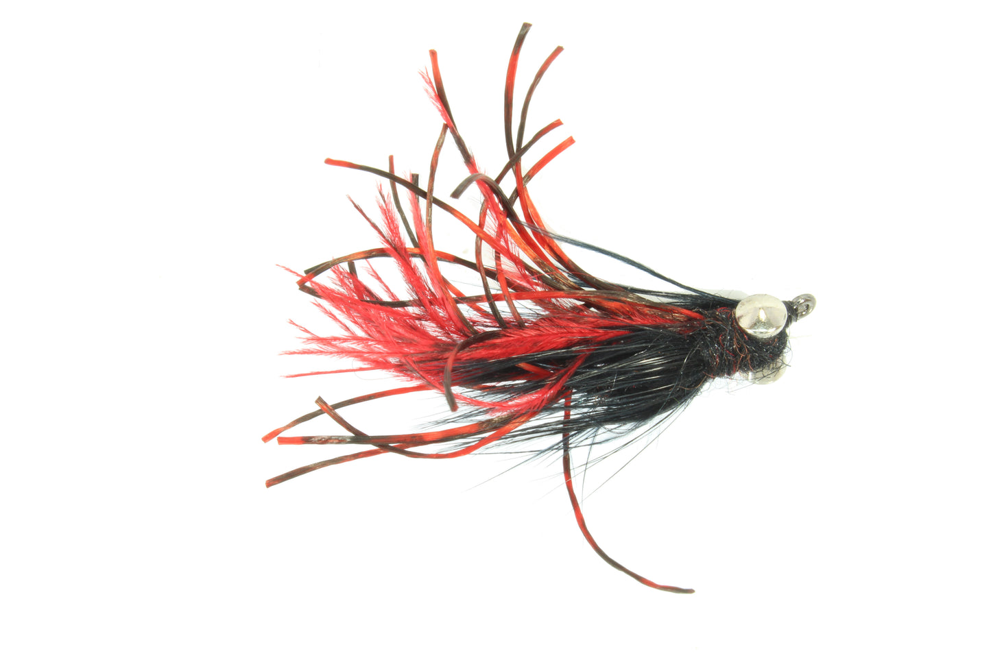 Eric's UV Carp Leggs