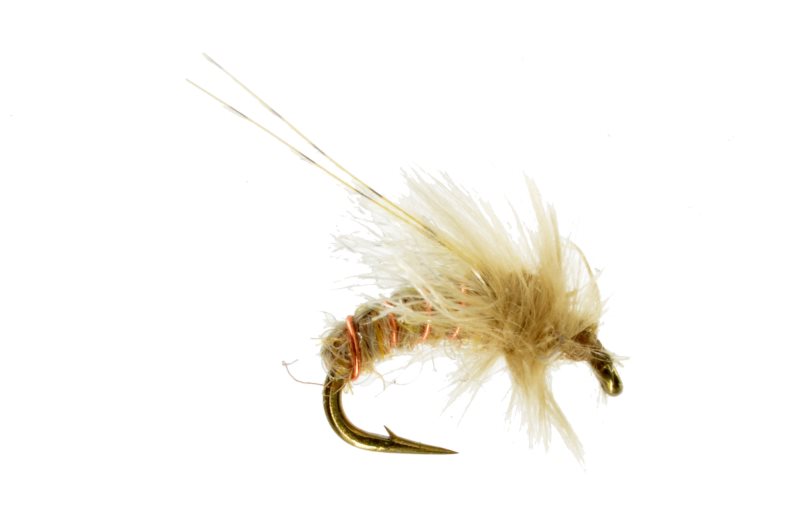 Z-Wing Caddis