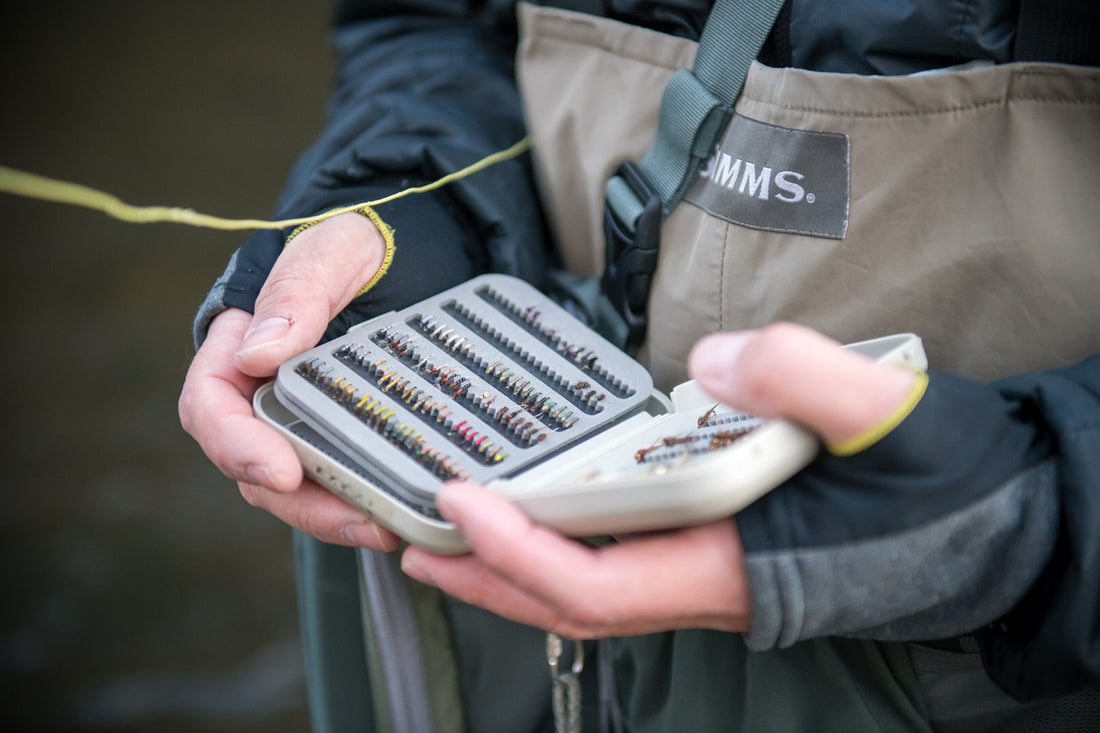 10 Best Nymphs Guaranteed to Catch Trout When Fly Fishing