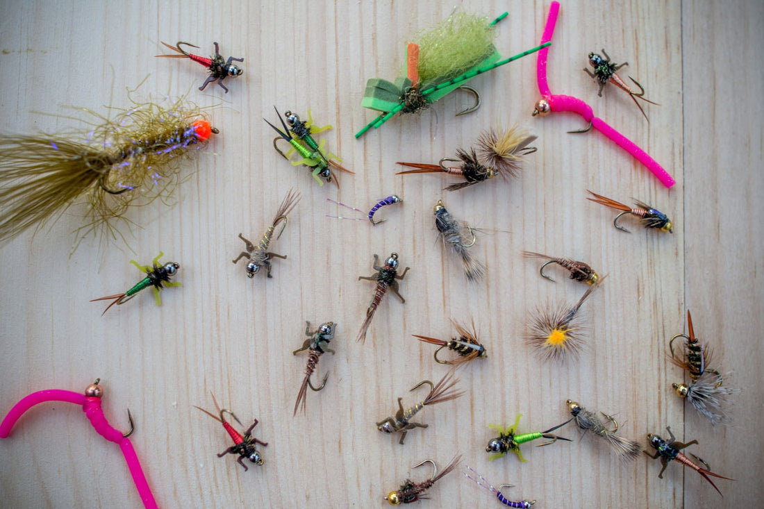 best fly lures for trout Premium Assortment - The Fishing Flies Mix paced rivers Best Trout Fishing Lures, Flies,