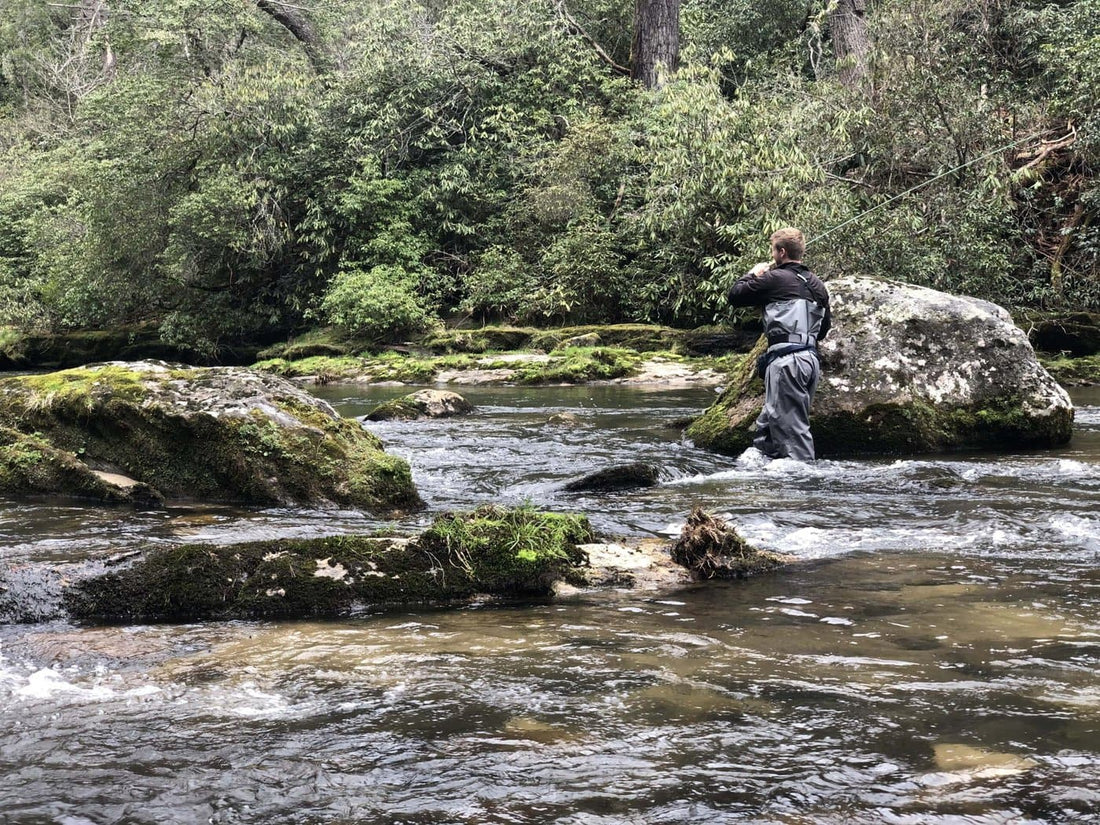 10 Best Places To Go Fly Fishing in Georgia