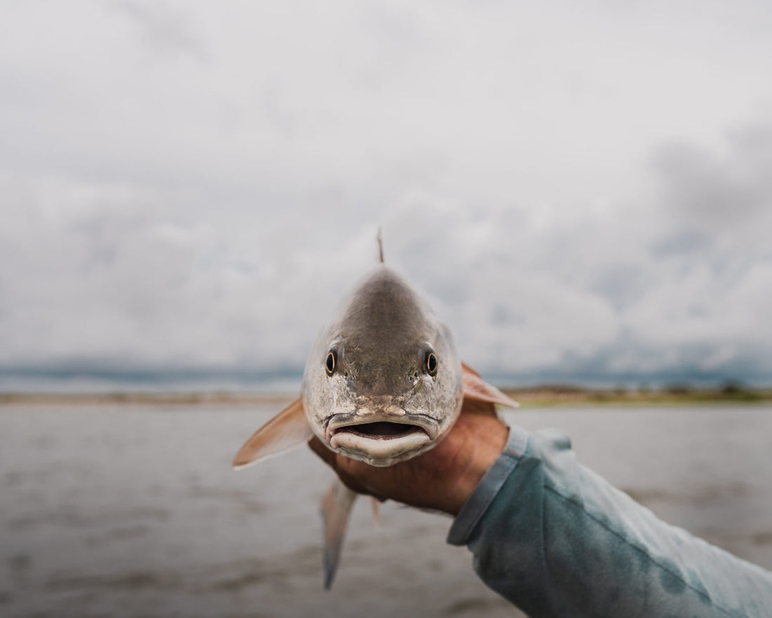 Guide Into Saltwater Fly Fishing