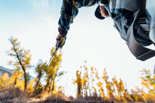 12 Best Trout Flies for January: Essential Flies for Winter Fly Fishing