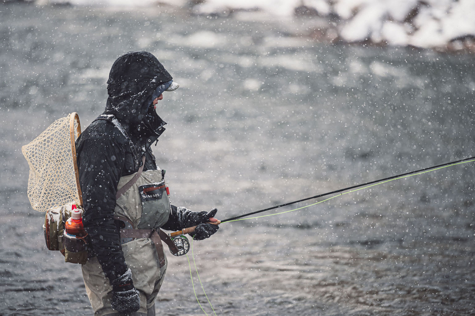 Winter fly online