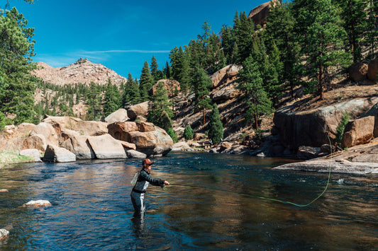 How To Fly Fish For Beginners: A Step-by-Step Guide