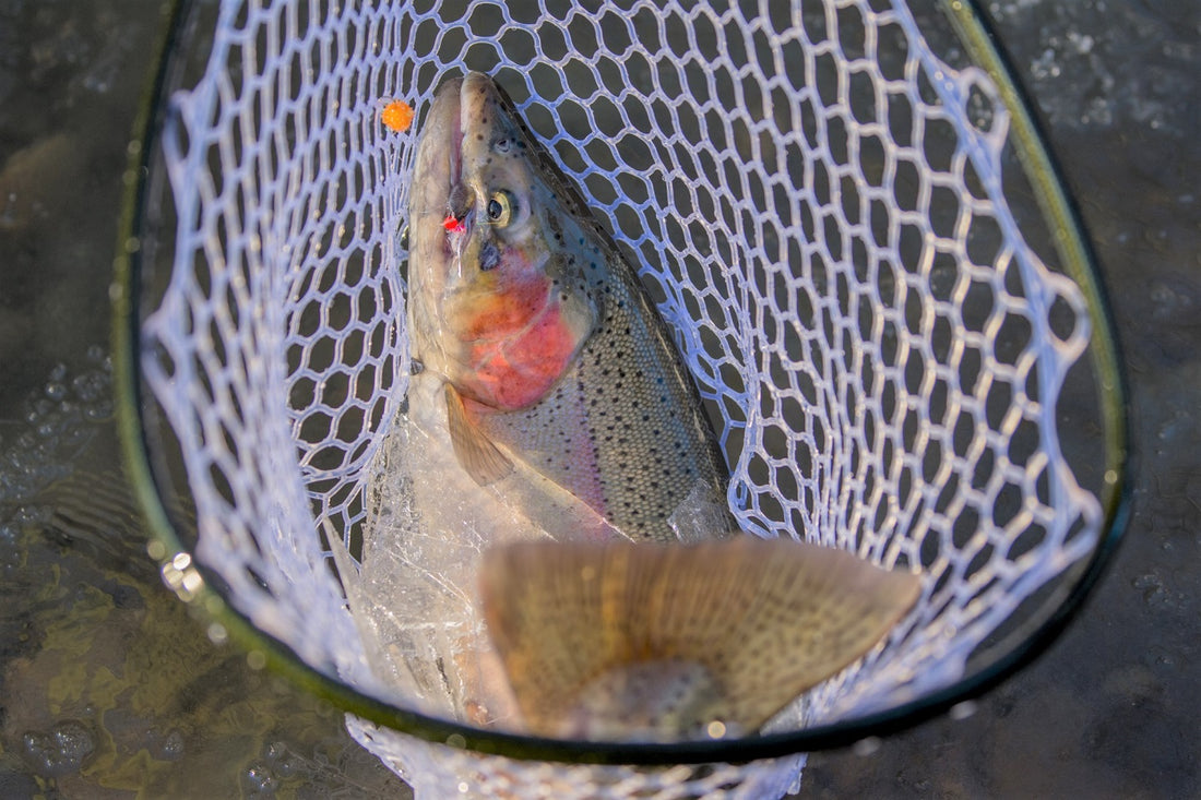 Complete Guide To Fly Fishing For Steelhead: Fly Rigs, Go-To Flies, And Gear Guide