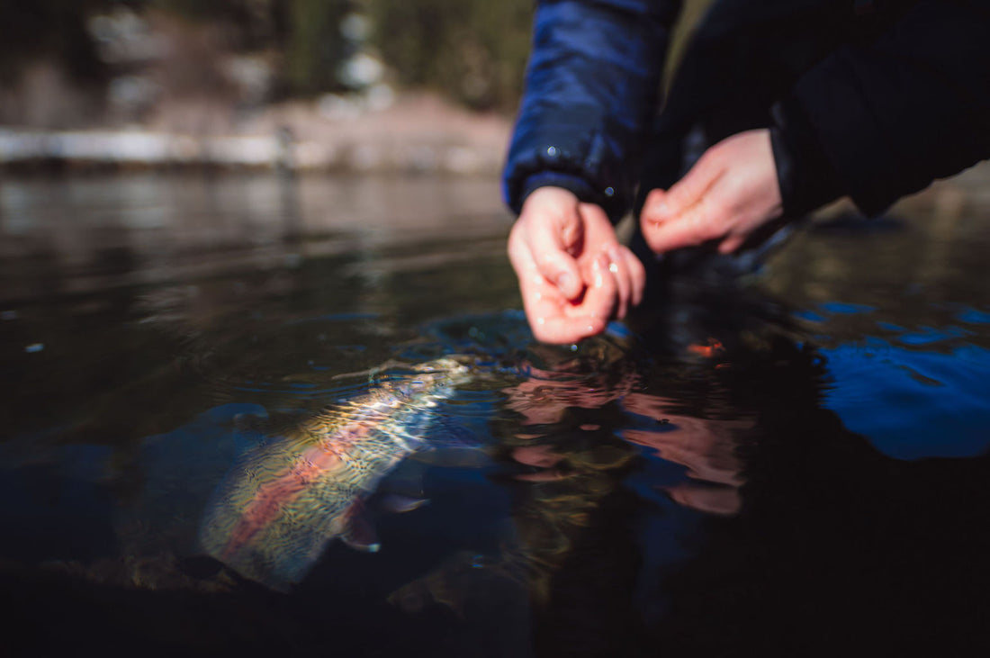 What You Need To Know About Fly Fishing January And February