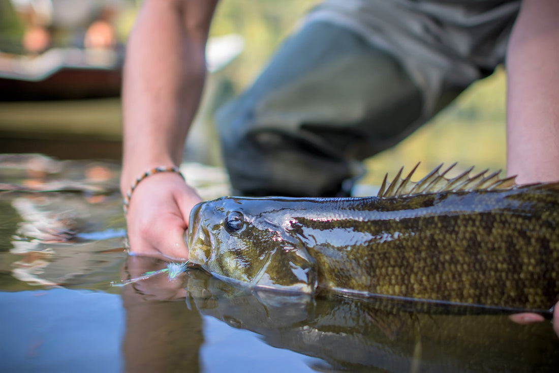 Fly Fishing Streamer Flies: Everything You Need To Know