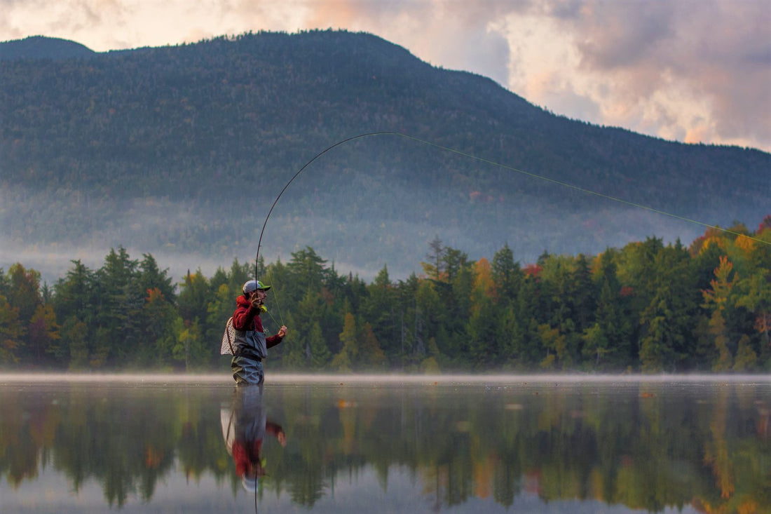 Best 17 Trout Flies For Fall Fly Fishing