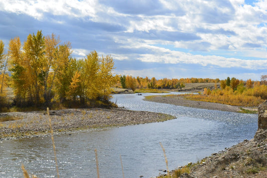 How To Fly Fish Montana: Everything You Need To Know