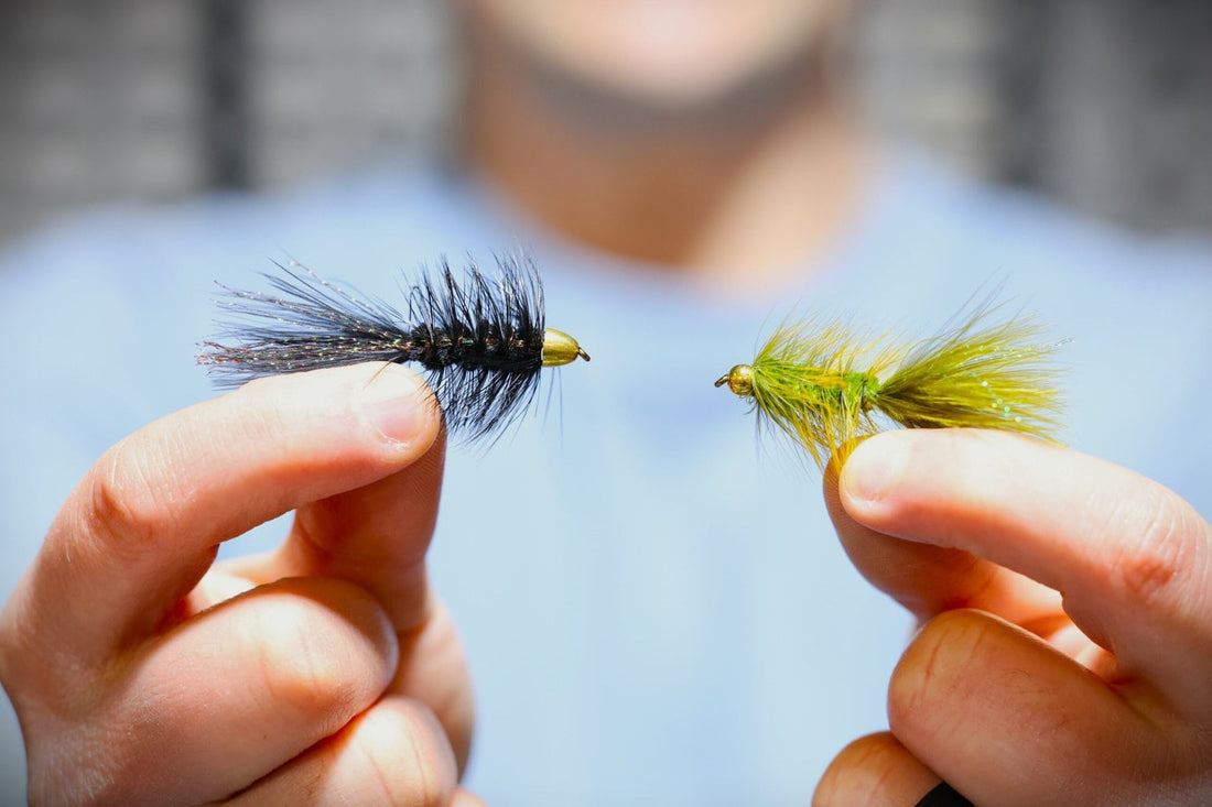 How to Fly Fish a Woolly Bugger Fly