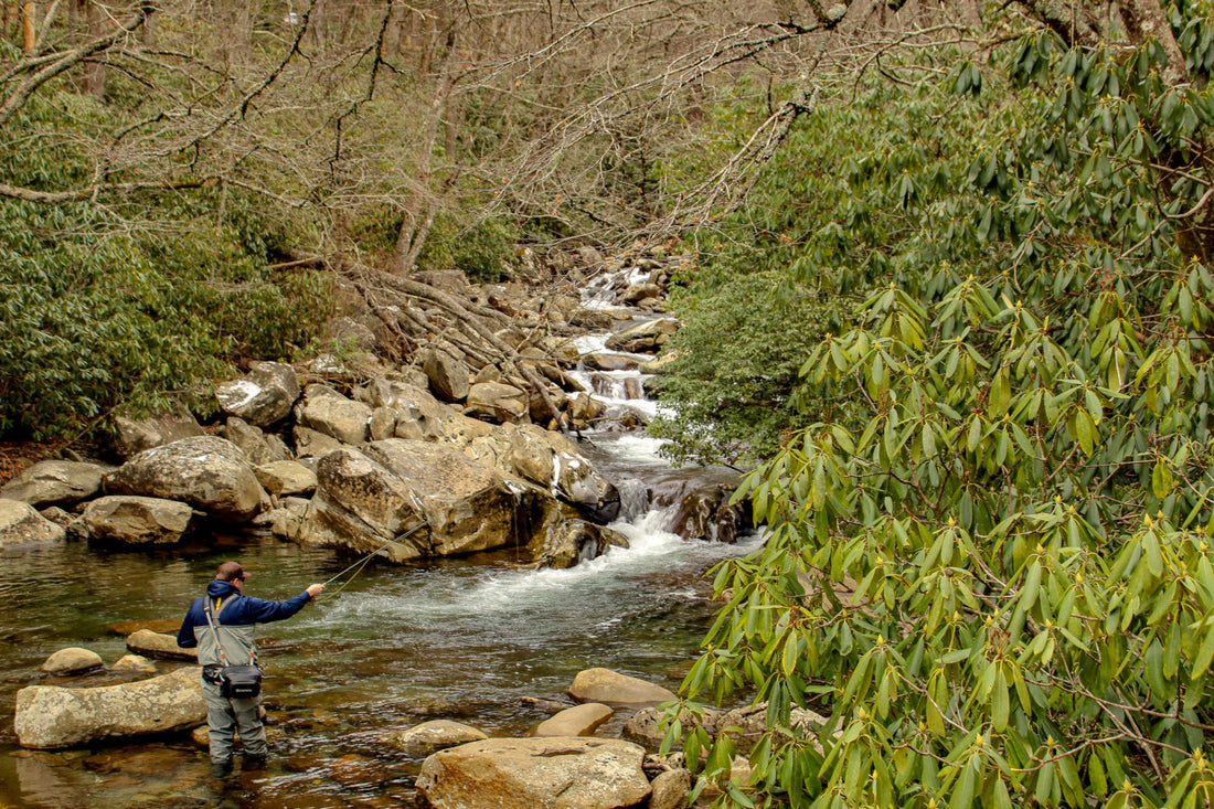 Tips for Finding Winter Trout