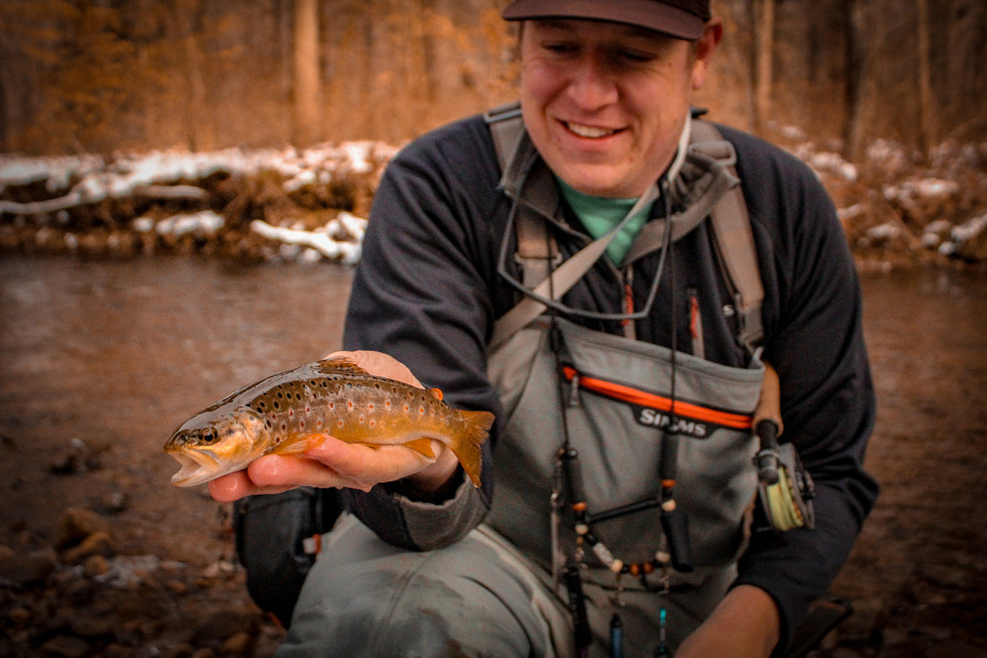 3 Dry Flies for Winter Trout