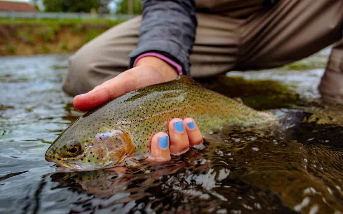 Top 8 Early Summer Flies That Catch Trout!