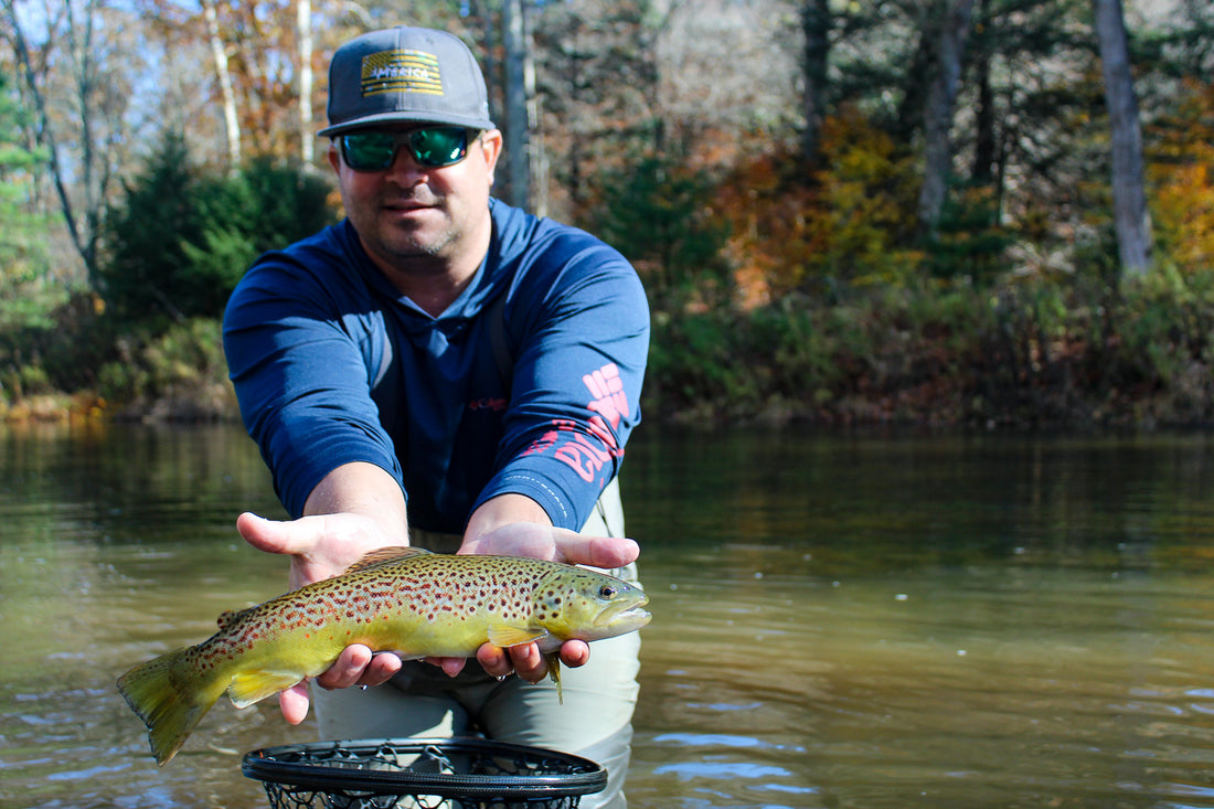 Where to Find Trout In The Fall And Into The Early Winter