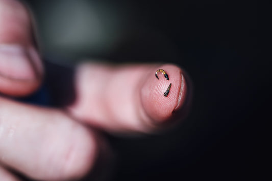 Best Midge Flies for Fly Fishing and How to Use Them