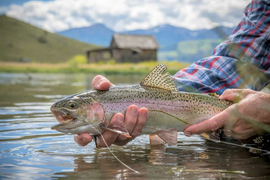 6 Different Ways to Dry Off Your Dry Flies