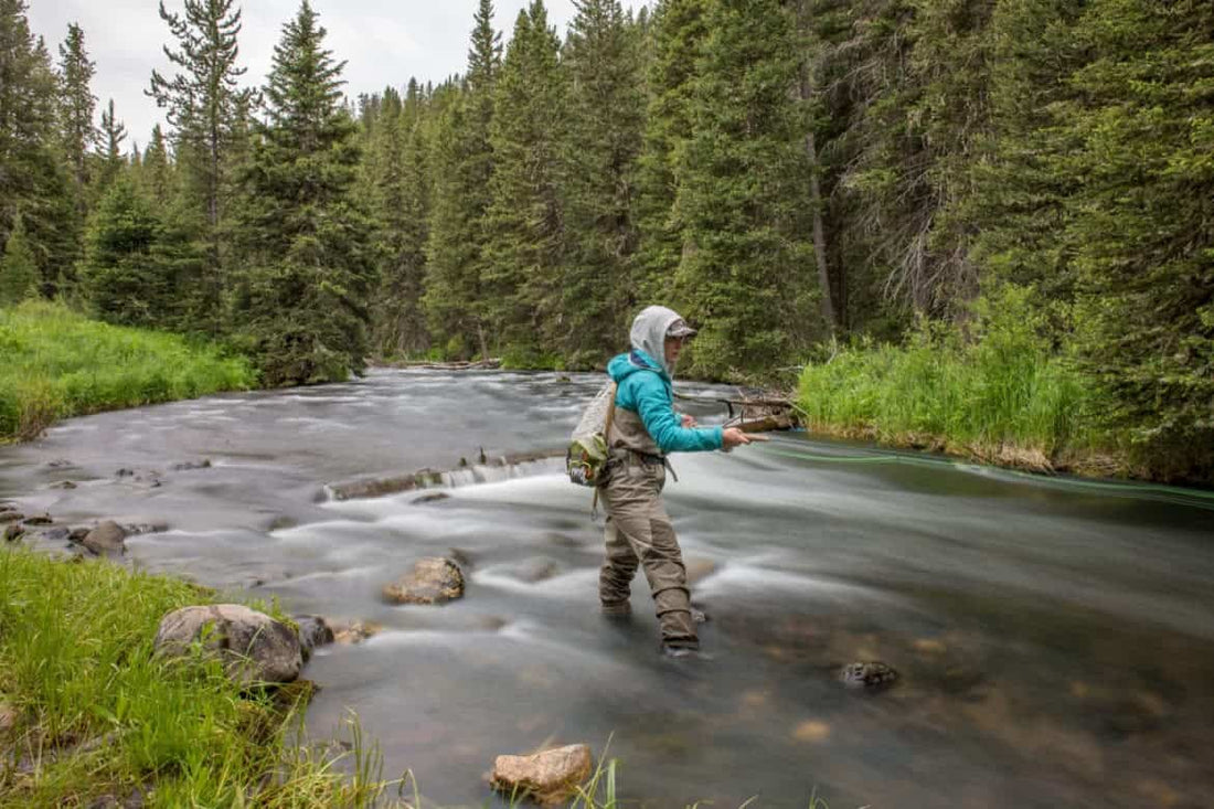 Essential Fly Fishing Gear for Beginners: What You Really Need