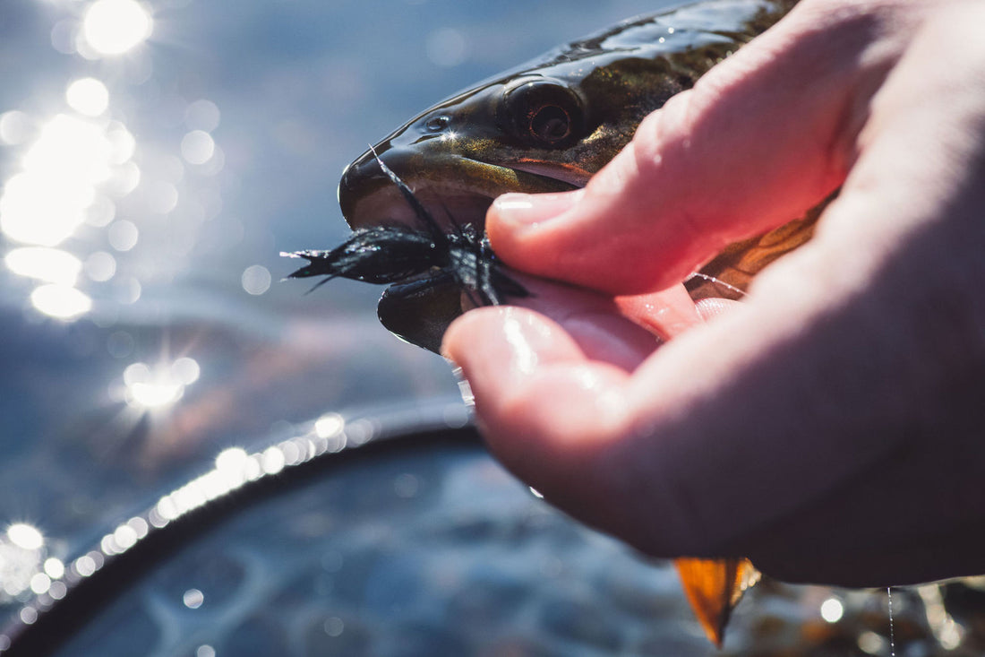 Fly Fishing Streamer Basics For Beginners Just Starting Out