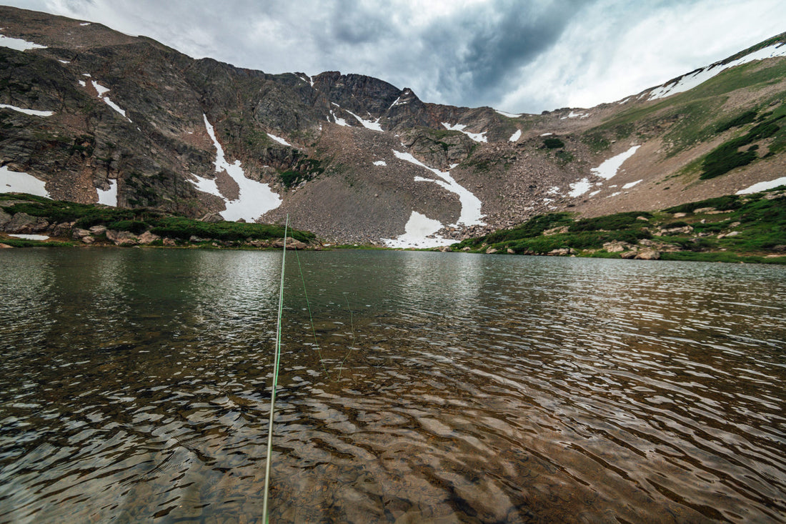 Beginner Fly Fishing Casts You Need To Know