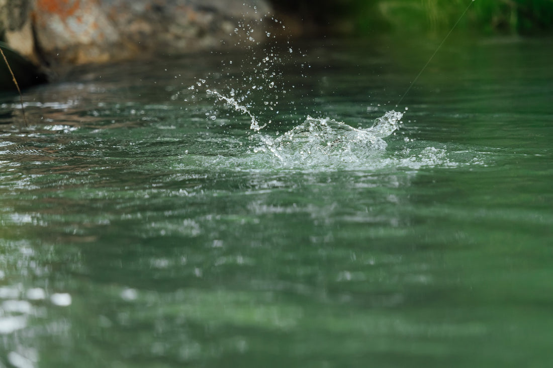 Rod Angles for Fighting Trout