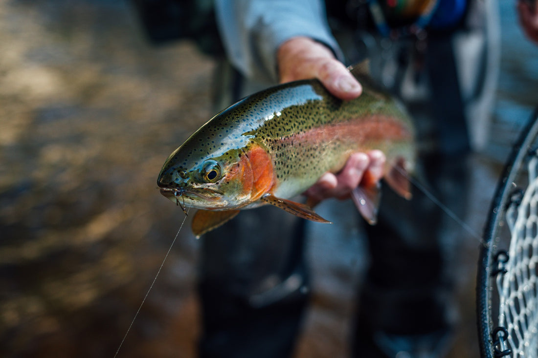 5 Tips For Fall Fishing