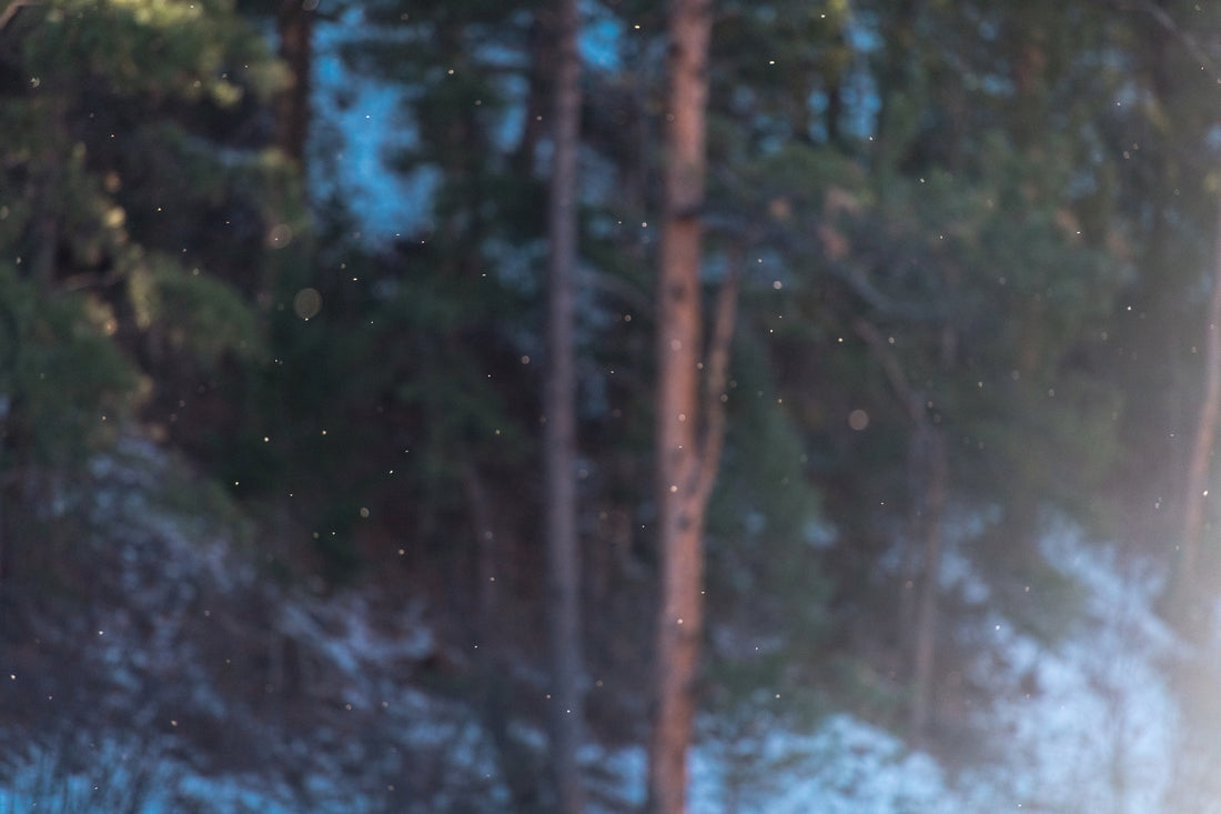 Fly Fishing Midge Dry Flies in the Winter