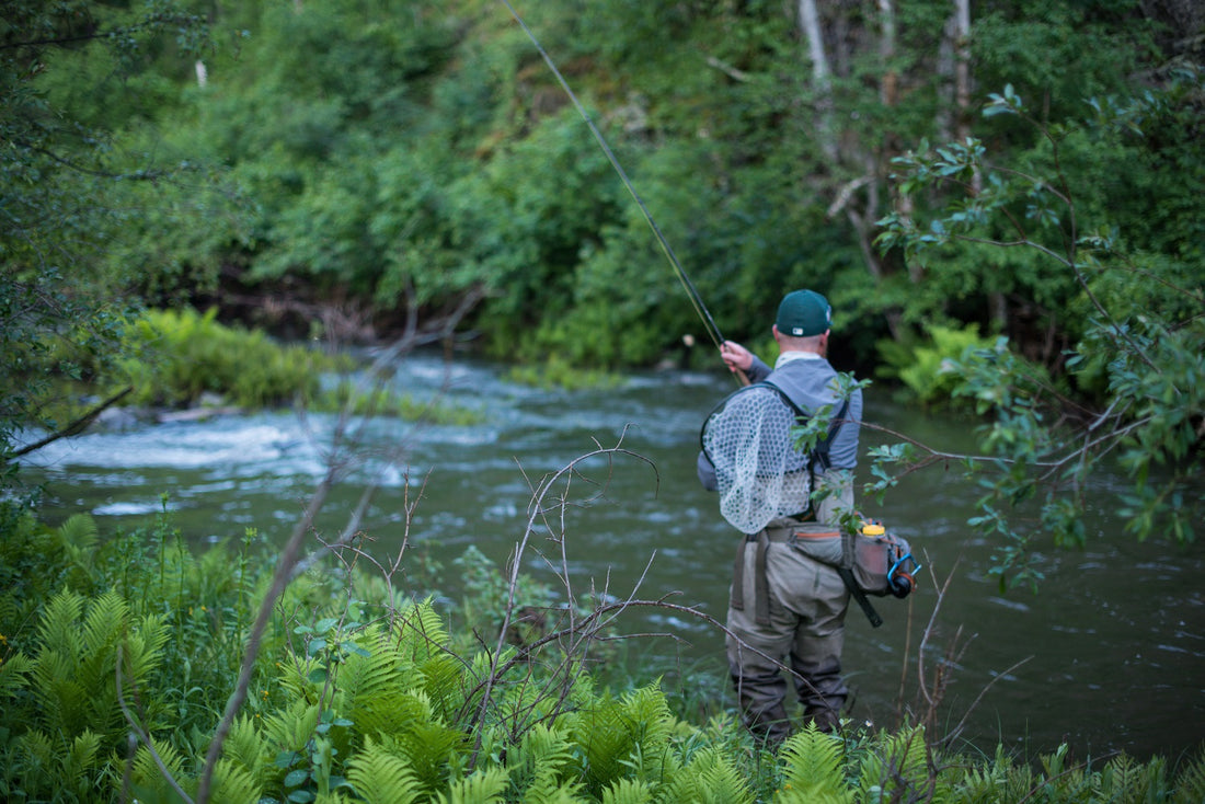 Intro Guide to Fly Fishing in the Spring