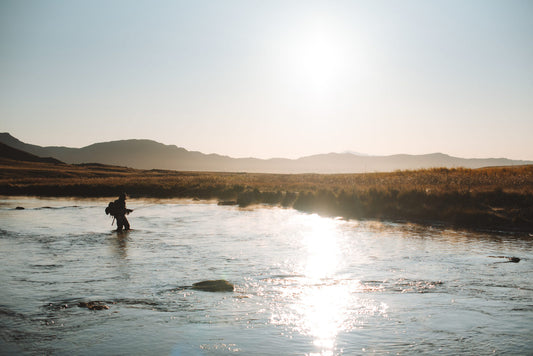 The Best Fly Fishing Destinations in Colorado