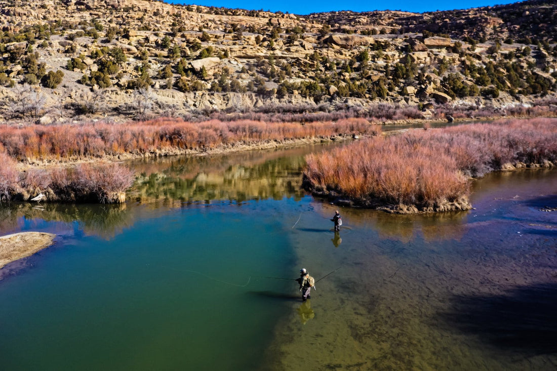 The Best Places to Go Fly Fishing in New Mexico