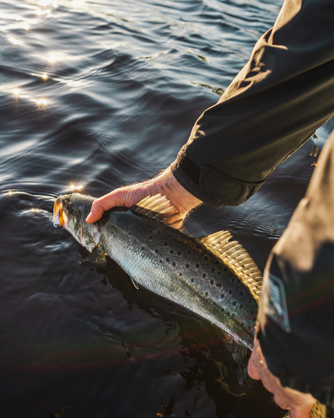 Saltwater Tips For Fly Fishing Speckled Trout