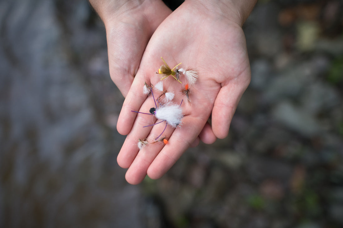 How to Fly Fish With Dry Flies For Trout