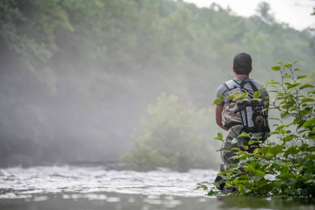 Places Trout Will Hide And Where To Cast