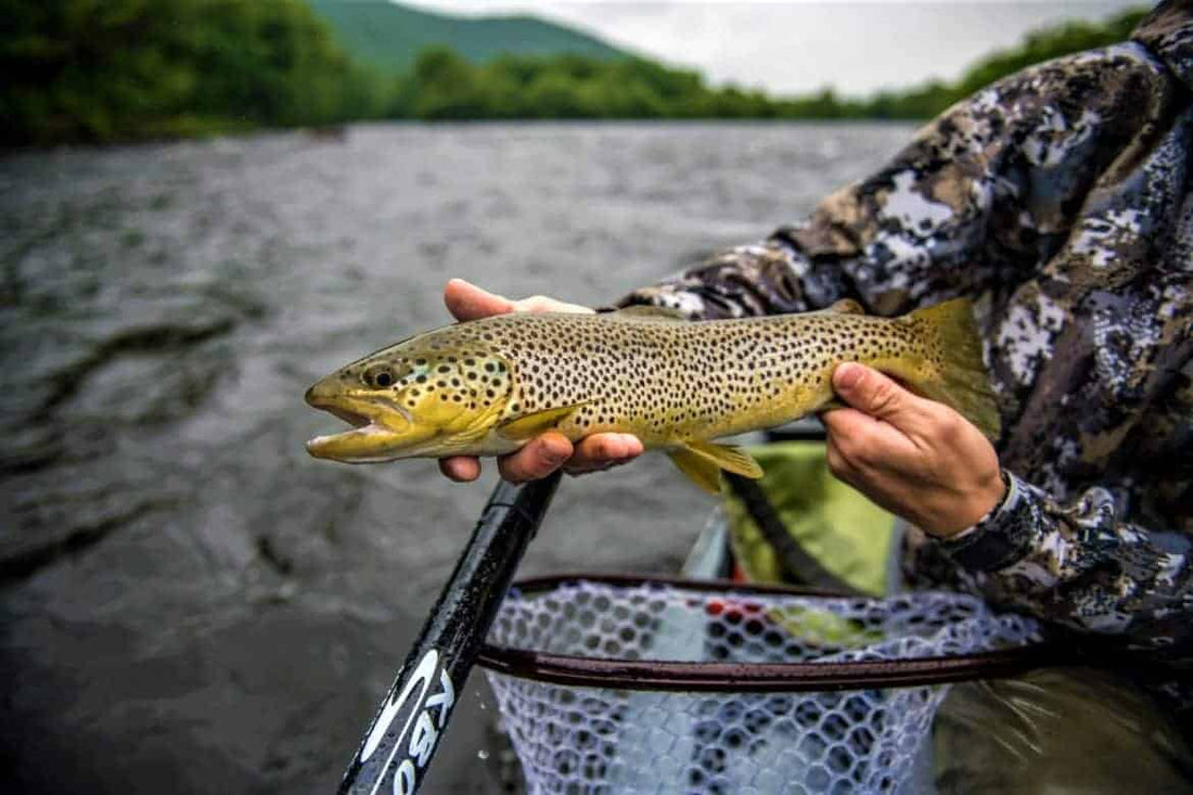 A Simple Guide To Spring Hatches & Trout Flies You'll Need