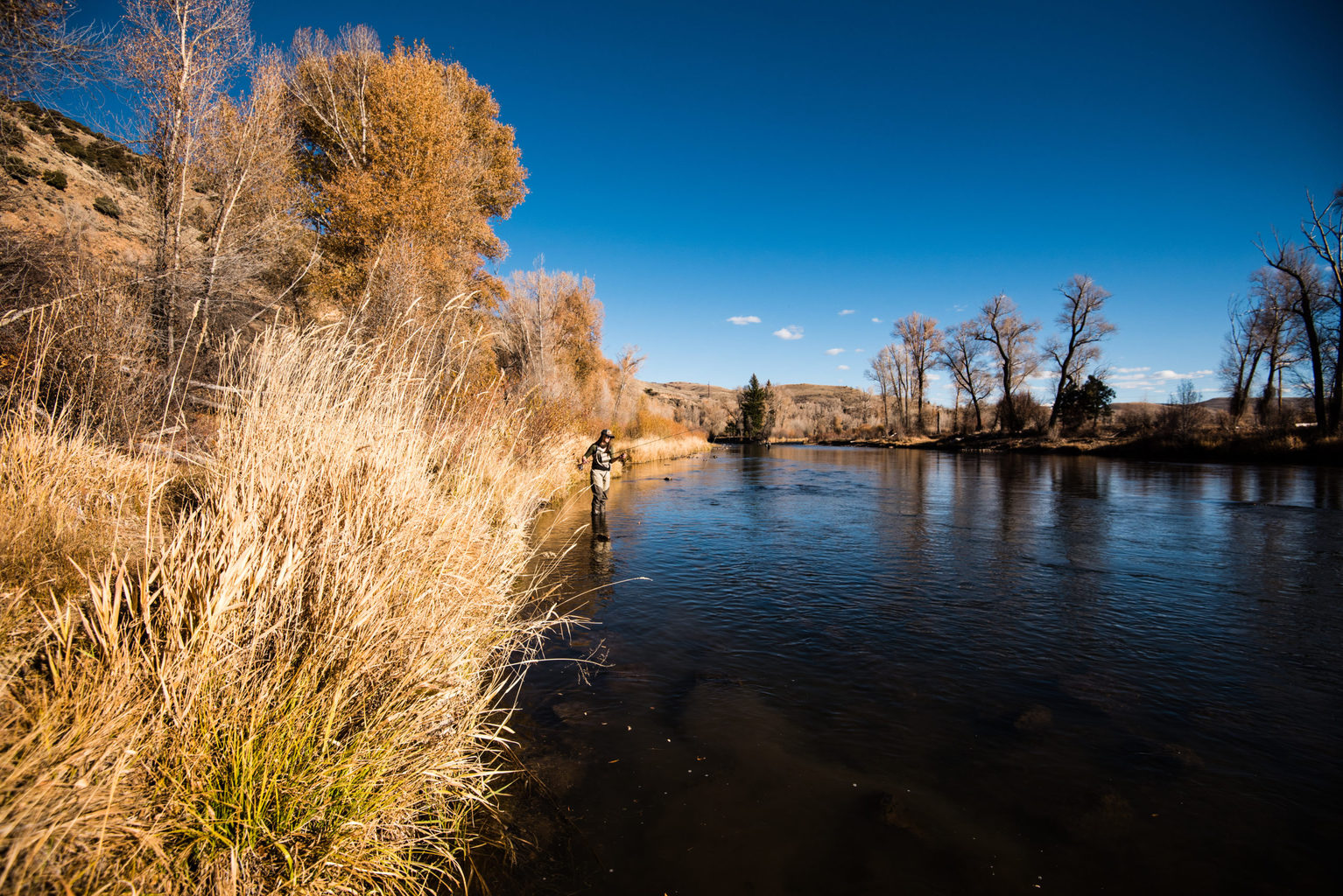 4 Lightweight Nymphs for Tandem Fly Rigs in the Winter – The Fly Crate