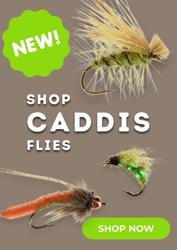 New Caddis Flies