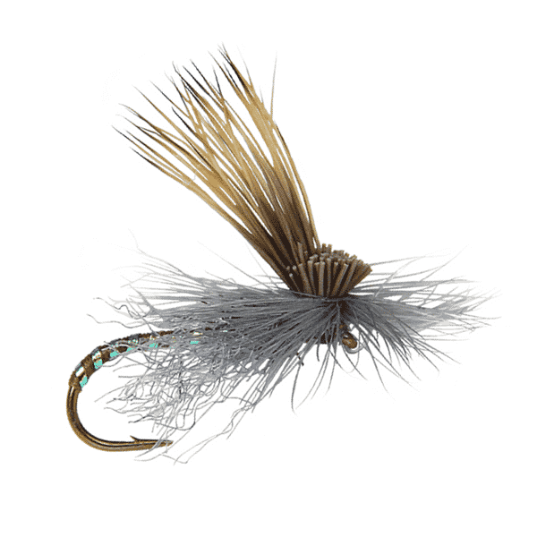 Missing Link Caddis